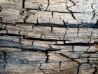 Защита древесины от гниения