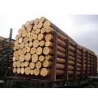 Хранение и защита древесины (2-я часть)