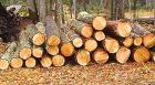 Хранение и защита древесины (3-я часть)