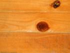 Сучки – неотъемлемая часть древесины