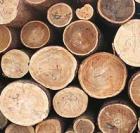 Хранение древесины